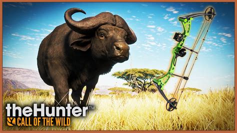 caçando búfalo